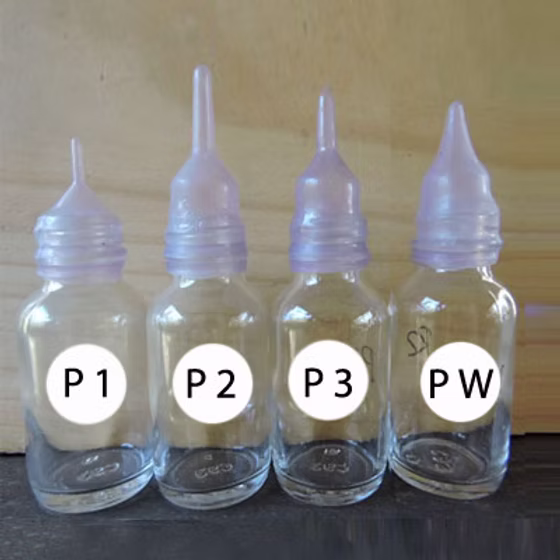 Possum - Tiny to weaning